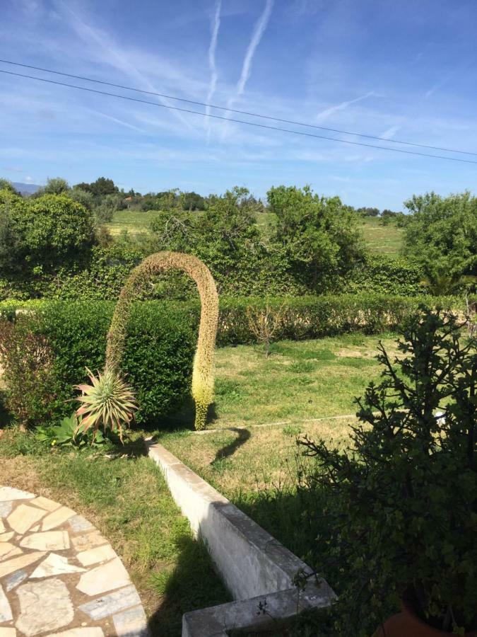 Hotel Quinta Da Rocha Portimao Mexilhoeira Grande Exteriér fotografie